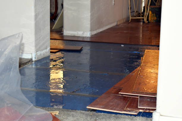 Professional Flood Damage Restoration technician working in Shepherd, MI